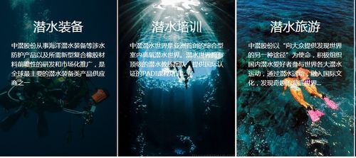 潛水公司加速趕頂，終須一別 從溫州幫現(xiàn)象看國內(nèi)旅游業(yè)務轉型